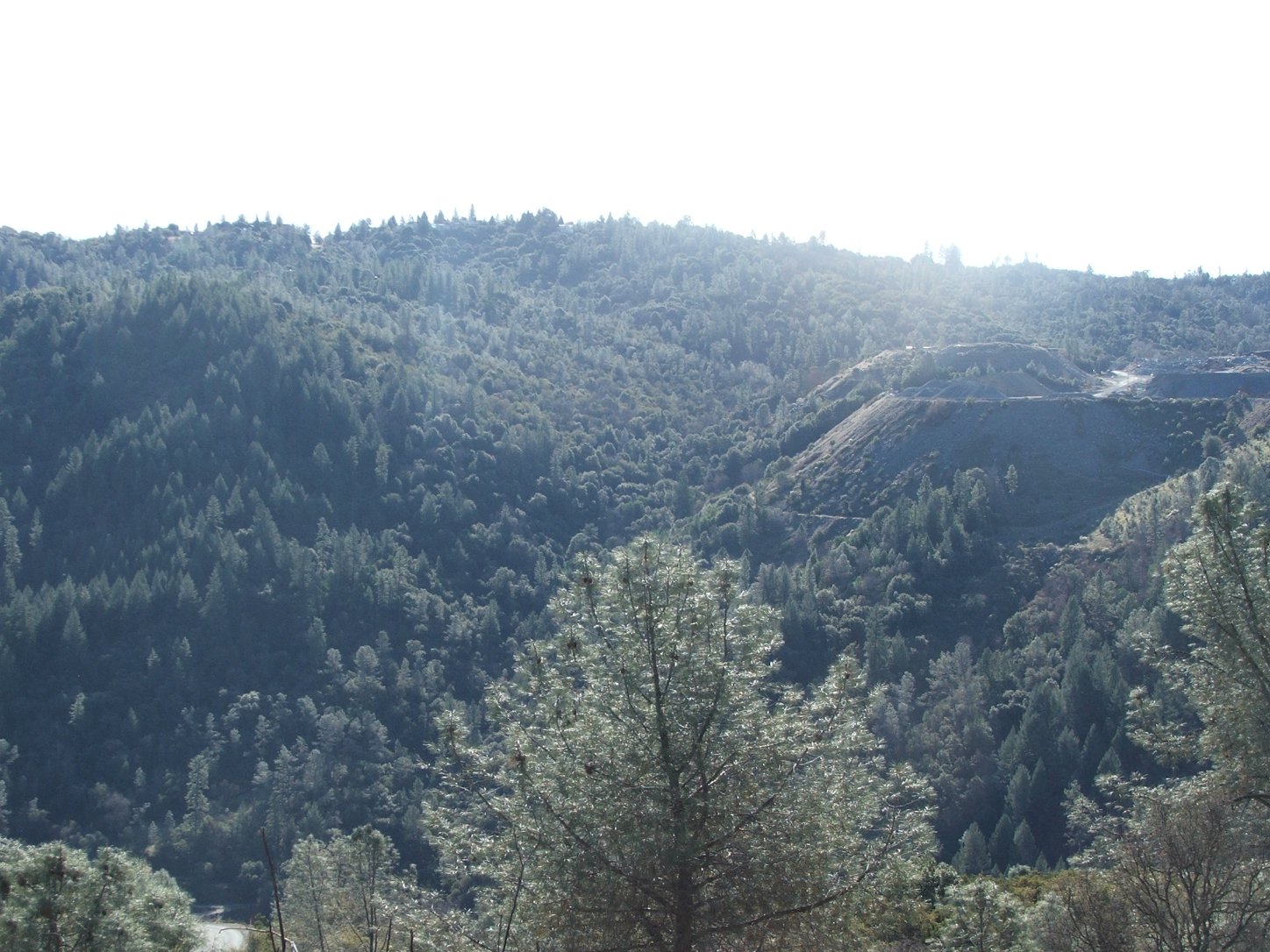 Foresthill Bridge Hike